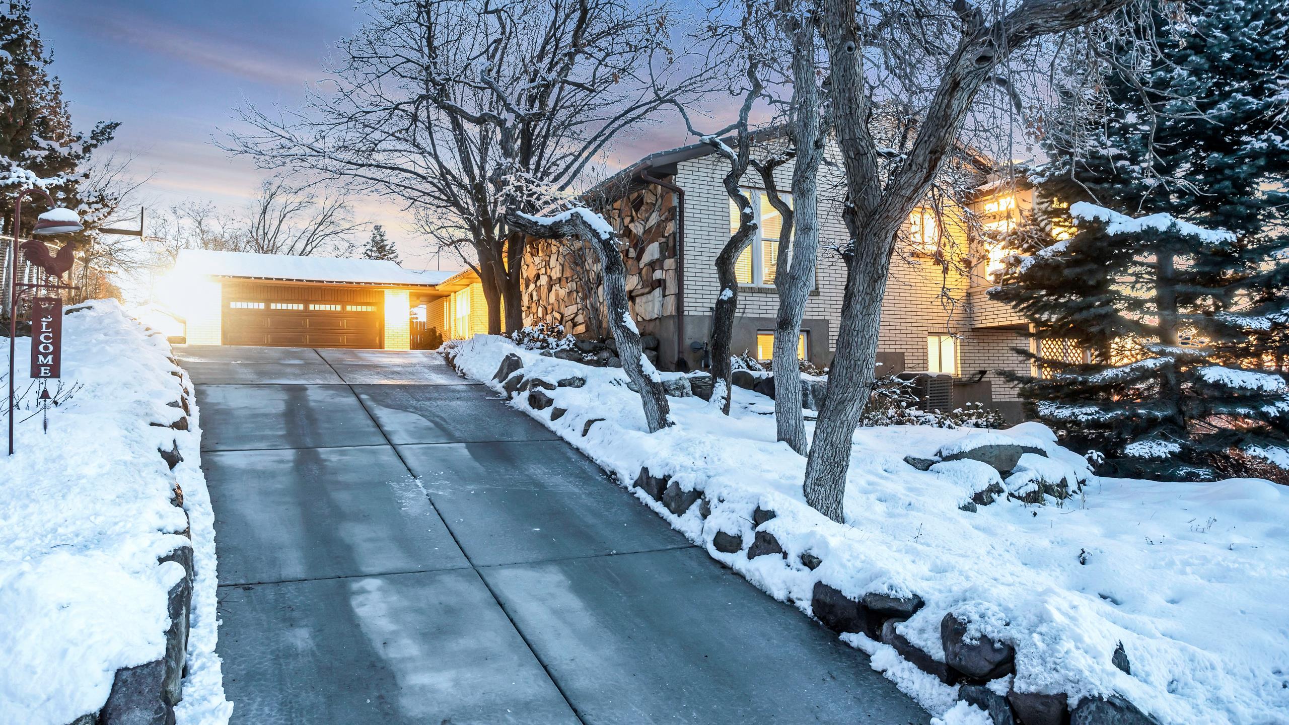 Oak Lane Put Down Roots